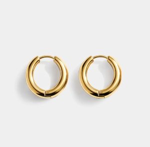Bizou Gold stainless steel huggie hoop earrings