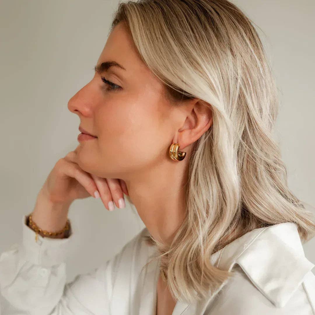 Double Hoops Earrings